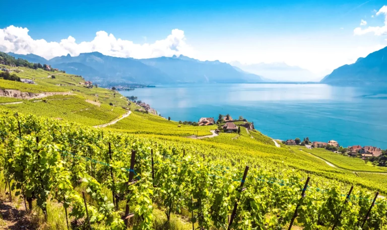 Le marché immobilier le vignoble de Lavaux