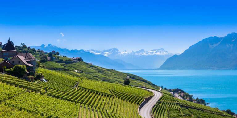 Le saviez-vous ? Lavaux : un nom, une histoire, un patrimoine